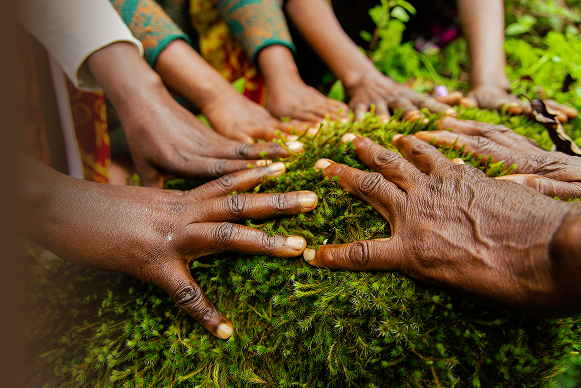 Hands on moss